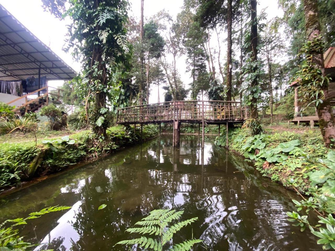 Magnolia Farmhouse And Homestay Darjeeling  Exterior foto